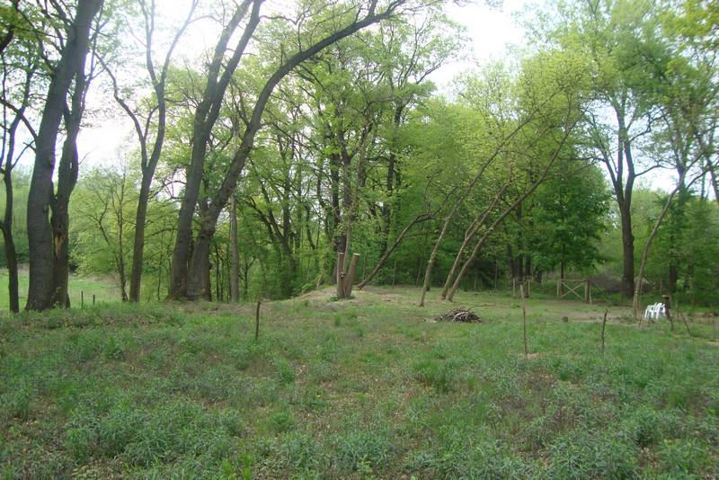 Widok działki i zielonego otoczenia